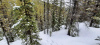 Top of slope out of Vista Lake