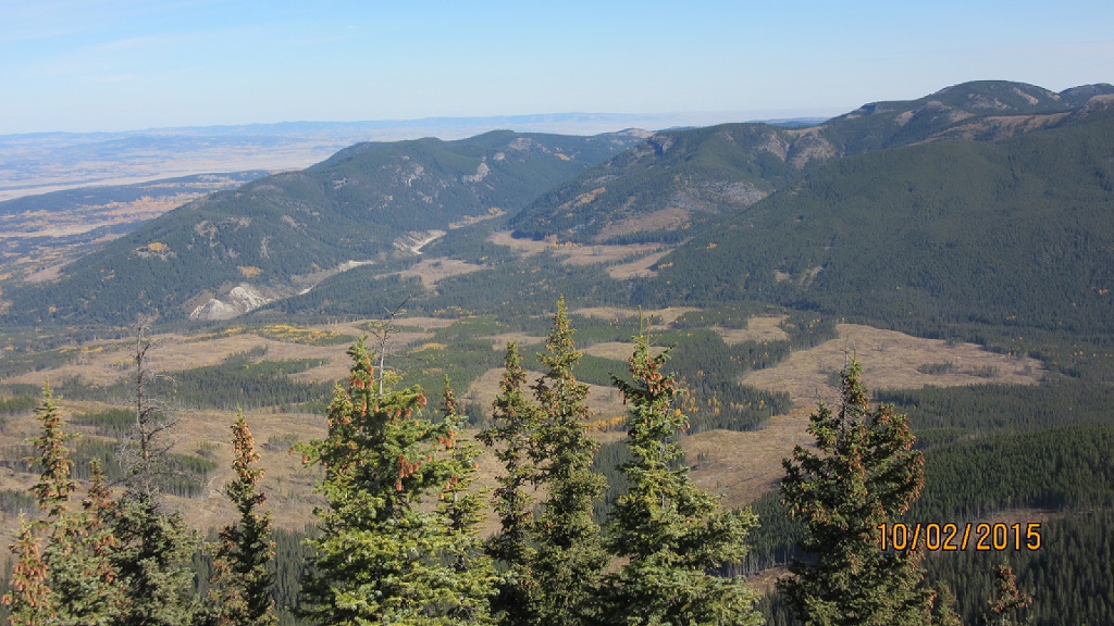 Horton Hill left and  Hwy 68 Sibbald Creek Rd