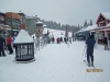 Silver Star Village