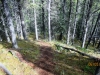 Section of the trail