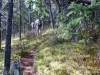 Section of the trail
