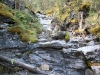 This is the creek we crossed to the trail head