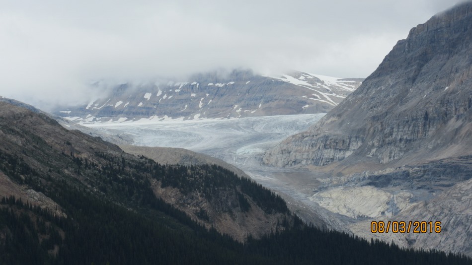 One of the many glaciers viewed from Whaleback