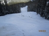 Conditions on Larch Poma