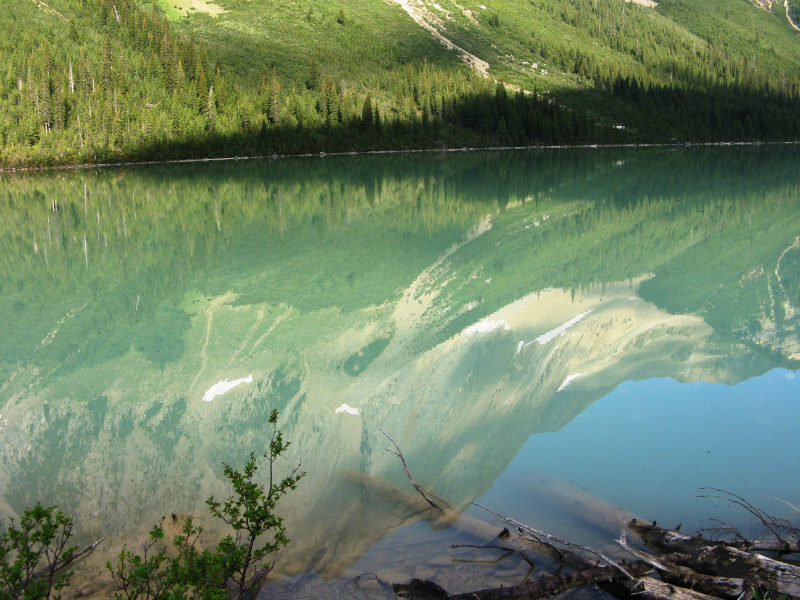 Reflection on Sherbrooke lake