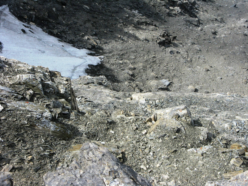 Looking down from summit