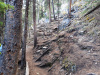3-Trail-after-Canyon-through-the-trees