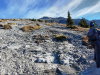 6-Just-out-the-trees-Summit-distant