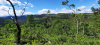 1-View-of-Seventy-Buck-Hill-Copy