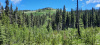 7-Looking-back-up-to-Eagle-Hill-Copy-Copy