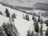 Above Goat Glades from the lift