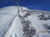 Goats Eye Still farming the wind blown snow