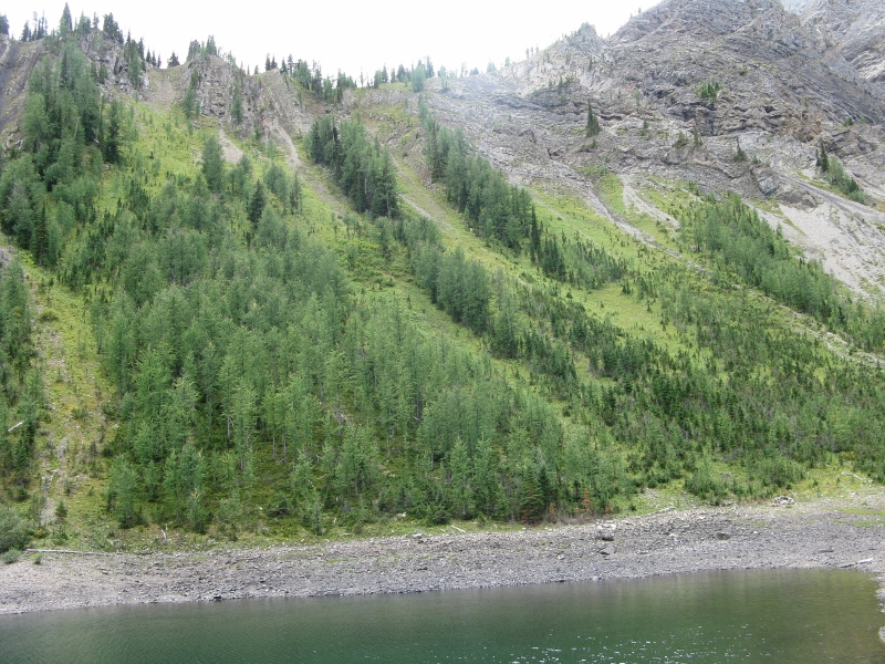 Ridge above Tryst Lake