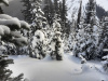 14-Beautiful-deep-snow-to-crash-down-through
