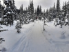 1Entering-the-trees-after-crossing-the-meadows