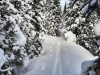 4-Following-a-back-country-ski-track