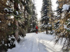 5-Lee-on-the-trail